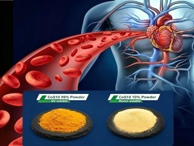 How to choose Coenzyme Q10?